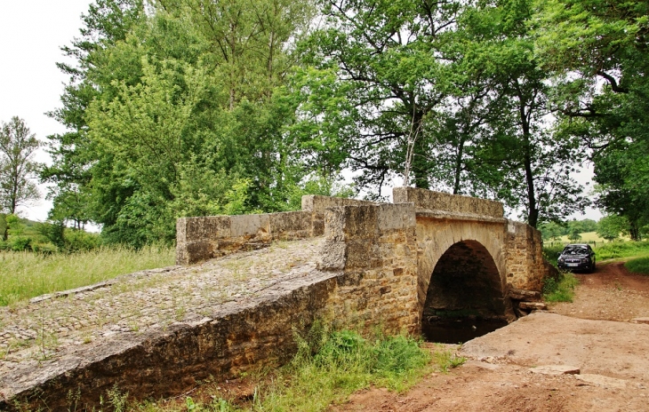 Pont sur le Dourdou 14 Em Siècle - Gabriac