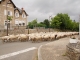 Photo suivante de Gabriac Petite Transumance