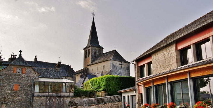  église Saint-Martin - Golinhac