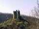 Photo suivante de La Salvetat-Peyralès le château de Roumegous