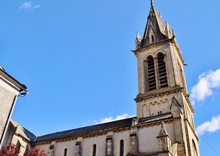   église Saint-Felix - Laissac