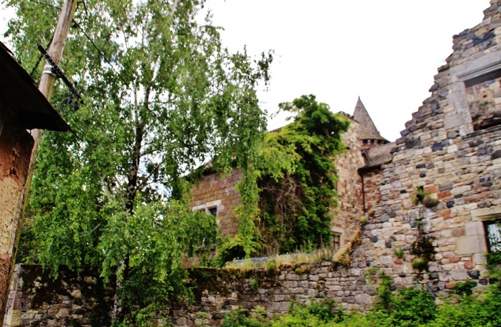 Ruines du Château - Lassouts