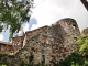Photo suivante de Lassouts Ruines du Château