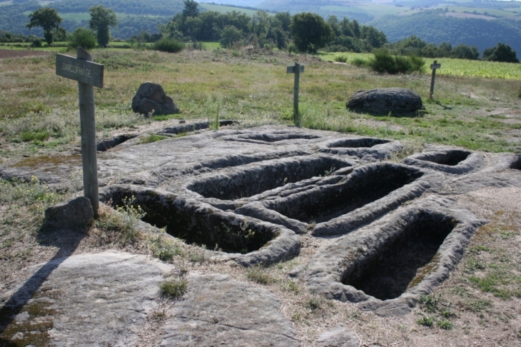 Tombes wisigothes - espace du Salel - Les Costes-Gozon
