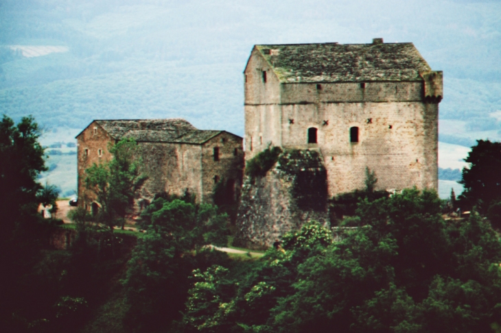 Chateau de Montaigut près de Montlaur