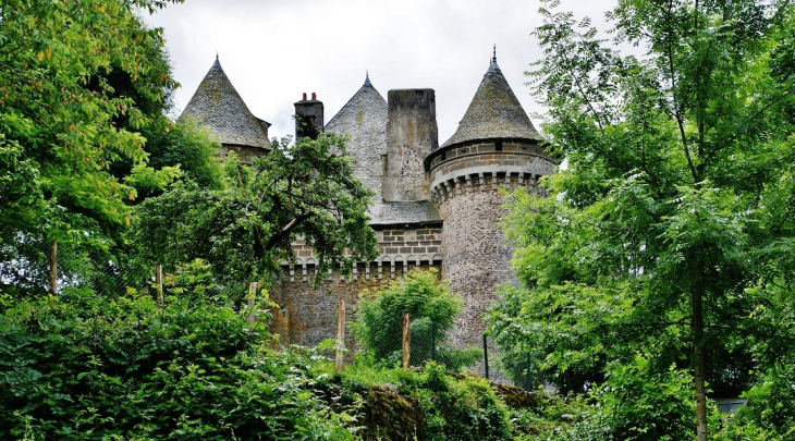 Le Château - Montpeyroux