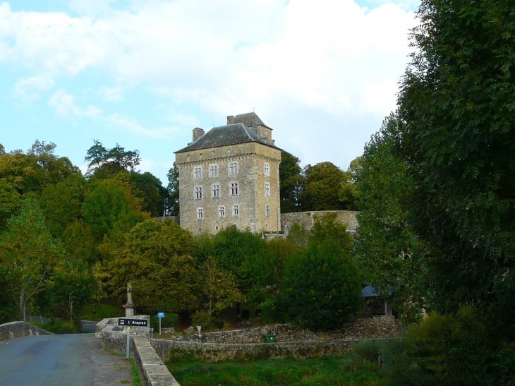 Le château   Crédit : André Pommiès - Montrozier