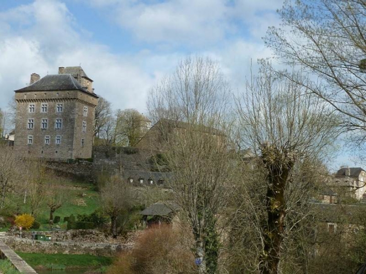 Vue sur le château - Montrozier