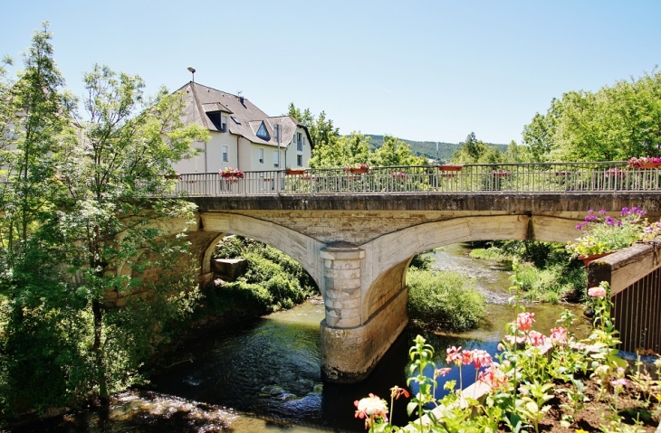 Pont sur L'Aveyron - Montrozier