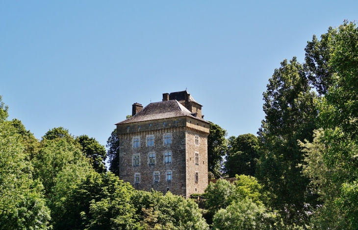 Le Château - Montrozier