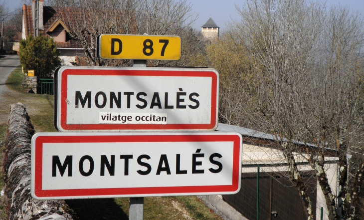  - Montsalès