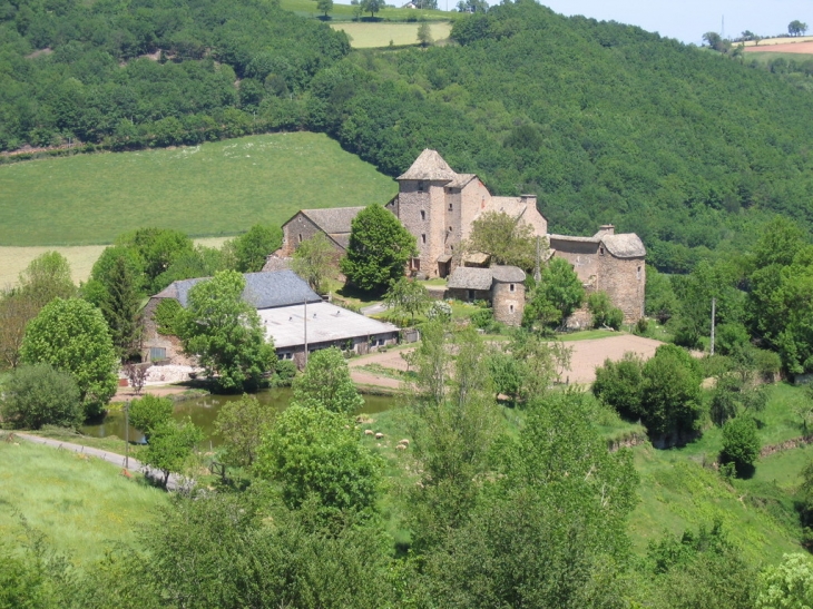 Le Château du Cayla, commune de Moyrazès
