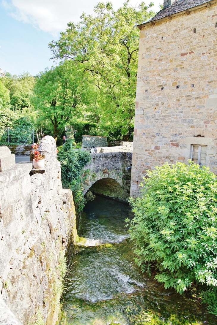 Ruisseau des Douzes - Muret-le-Château