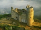 Photo précédente de Najac Forteresse royale XII° et XIII° (carte postale de 2000)