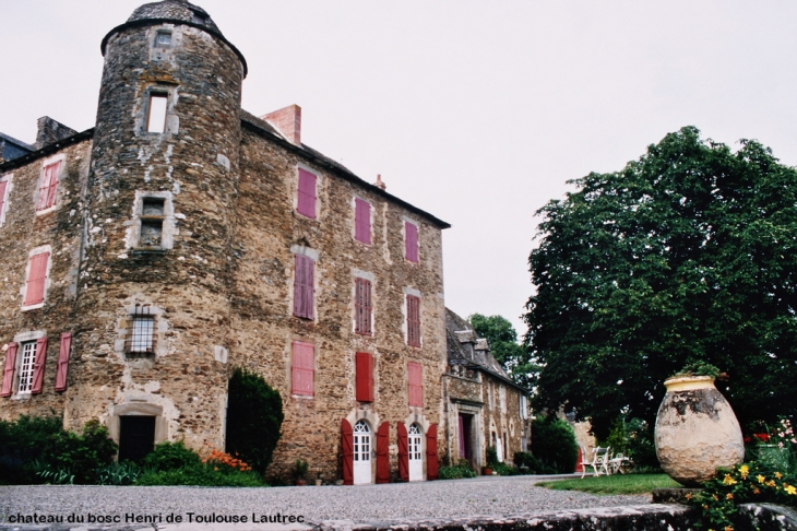 Chateau du Bosc Toulouse Lautrec - Naucelle