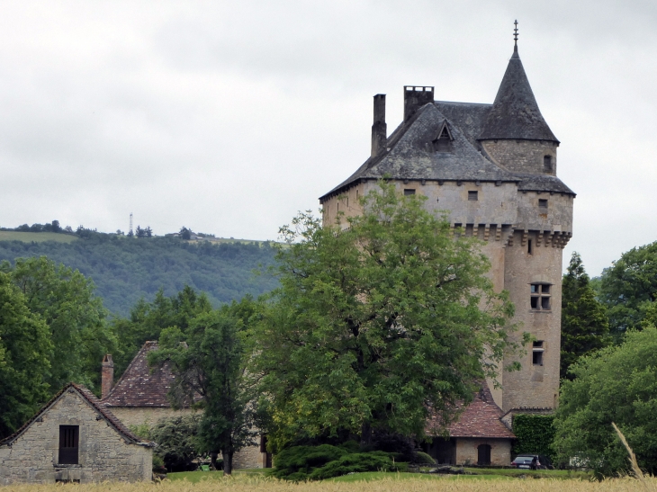 Le château de Marinesque - Naussac