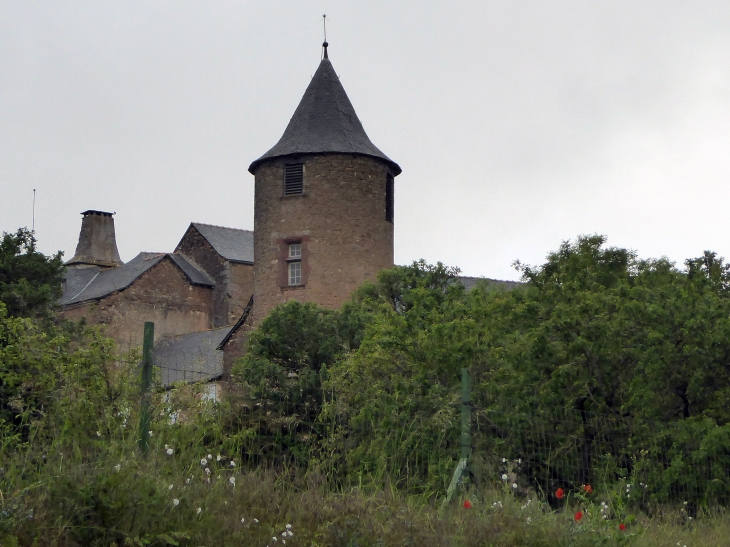Un aperçu du château - Onet-le-Château