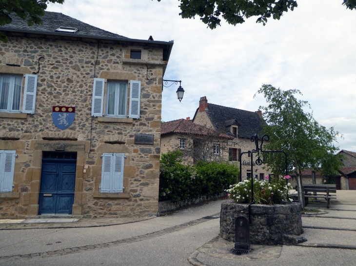 Maison et puits - Peyrusse-le-Roc