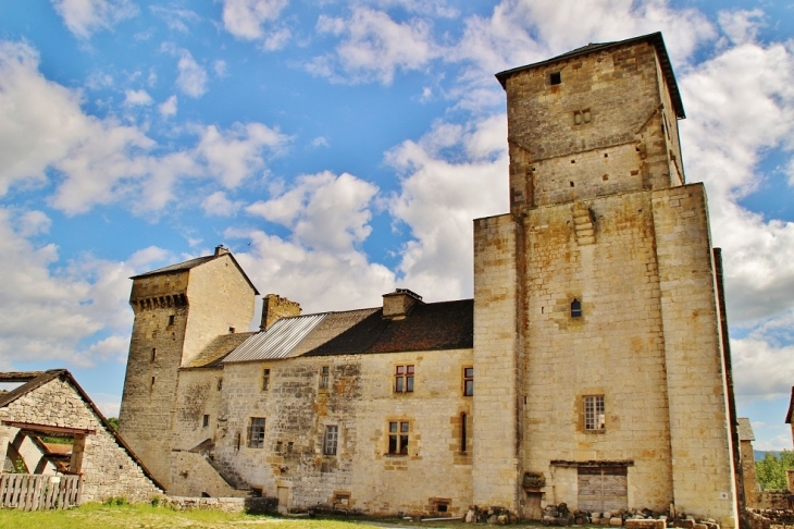 Le Château - Pierrefiche