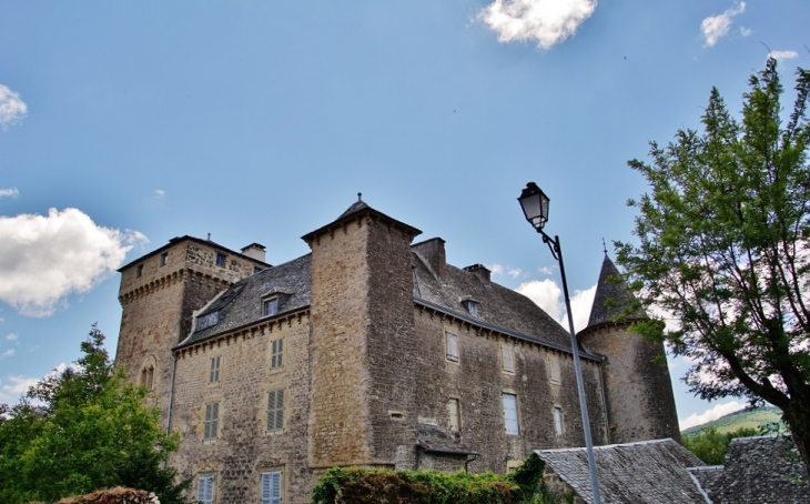 Le Château - Recoules-Prévinquières