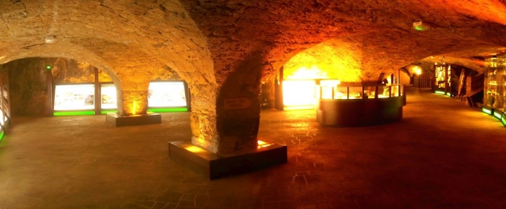 Cave Roquefort - Roquefort-sur-Soulzon