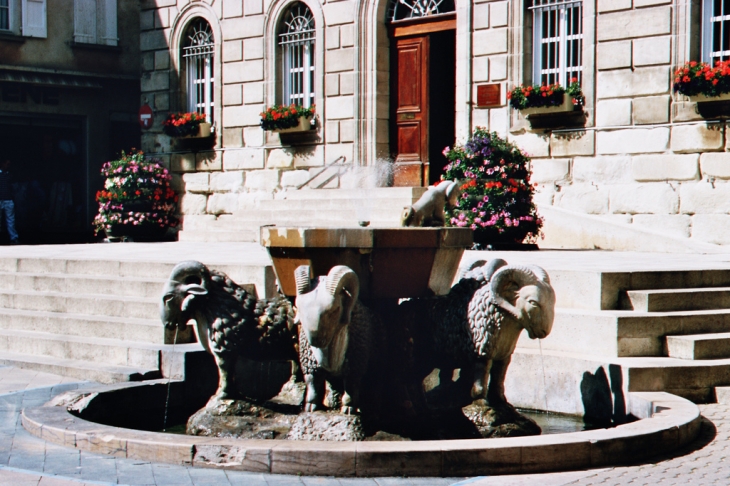 Au pays des moutons - Saint-Affrique