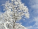 Photo suivante de Saint-Chély-d'Aubrac neige