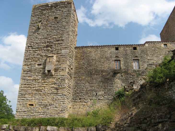 Façade ouest du château de Mélac - Saint-Rome-de-Cernon
