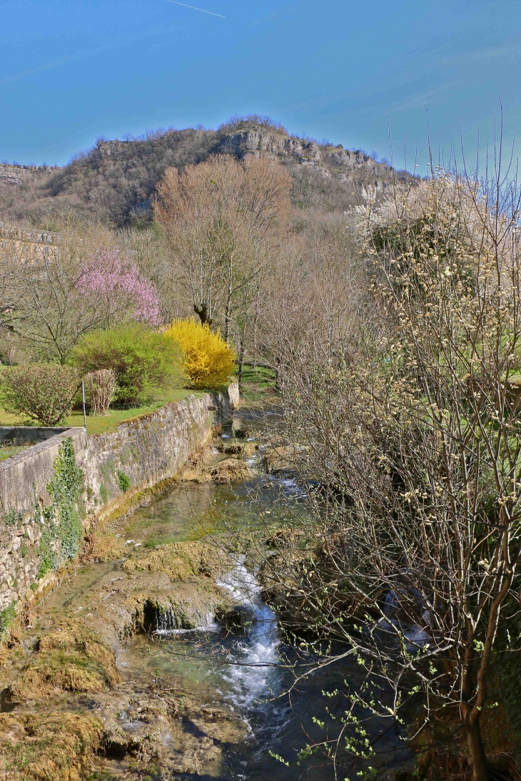 La rivière Créneau qui sépare la commune en deux. - Salles-la-Source