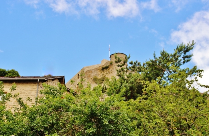 Le Château - Sévérac-le-Château