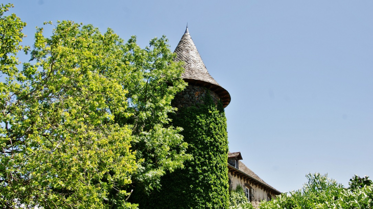 Le Château - Taussac