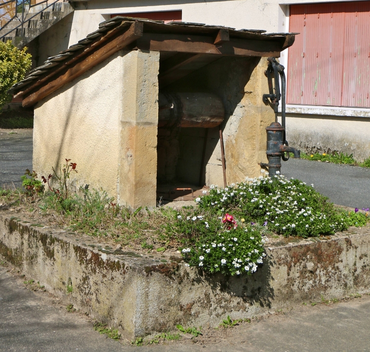 Le puits du village de Saint Hilaire. - Trémouilles