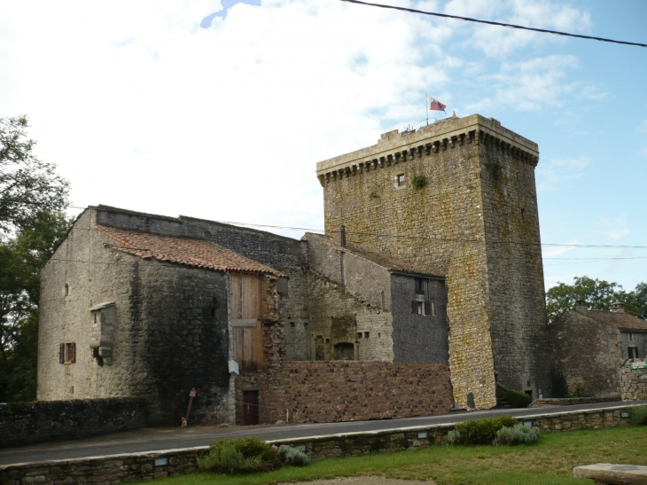 Tour du XVe siècle, haute de 27 mètres, comporte cinq étages. - Viala-du-Pas-de-Jaux