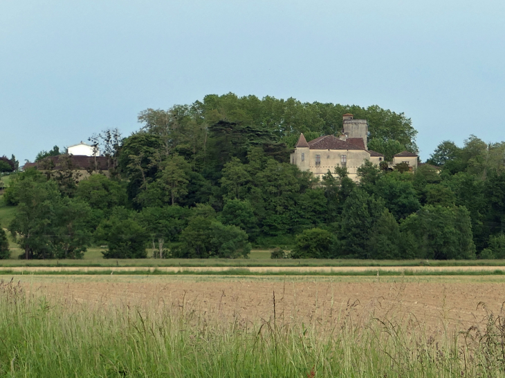 Le château visible de loin - Campagne-d'Armagnac