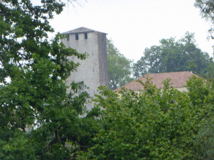 La tour de Lamothe - Cazeneuve