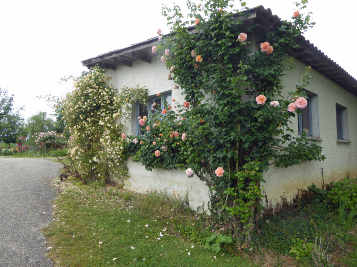 Lamothe : maison aux roses - Cazeneuve