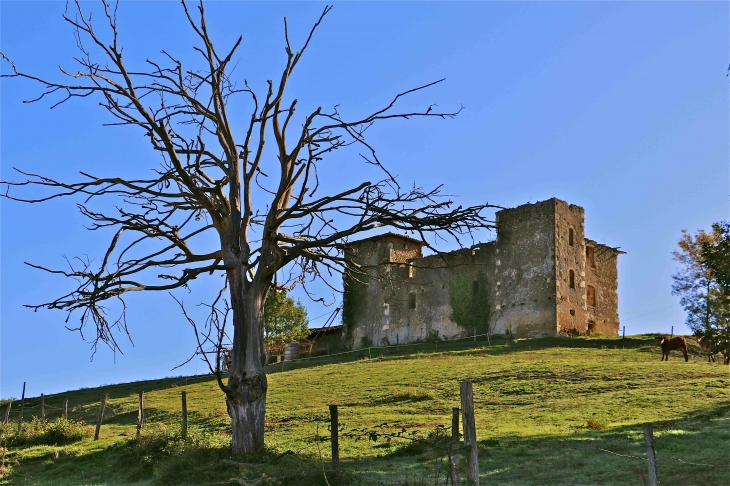 Ruines du château de Laumède - Tachoires