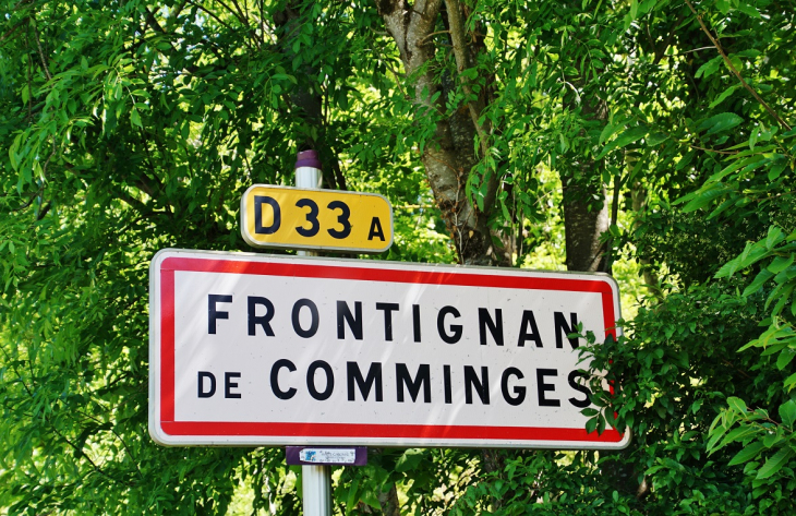  - Frontignan-de-Comminges
