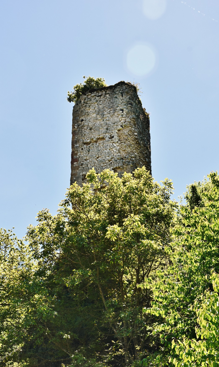 Donjon de l'ancien Château - Larroque