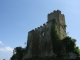 Photo suivante de Montespan Montespan : Ruines du château  XIIIème