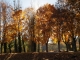 Automne route de Mazère, Montréjeau.