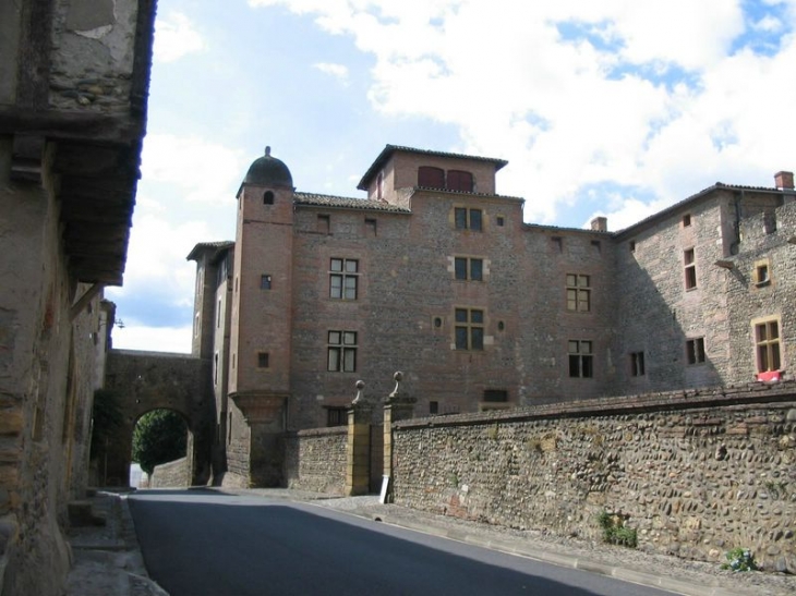 Palaminy : Entrée du château