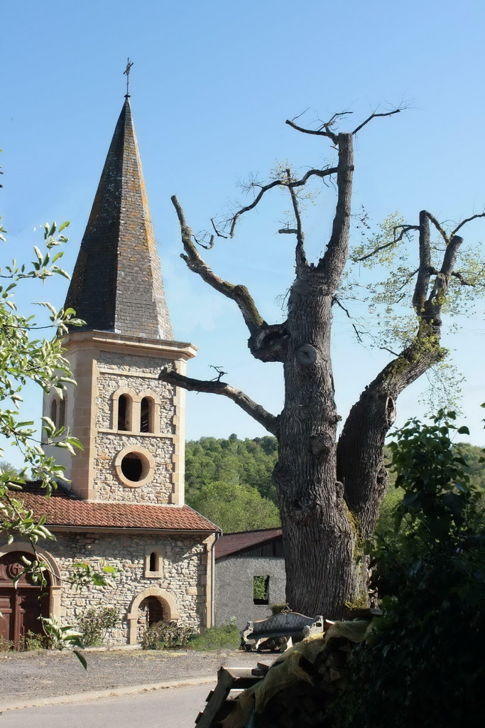 Le clocher et l'arbre grotte - Sédeilhac