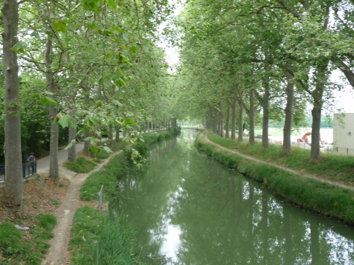 Le long du canal - Toulouse