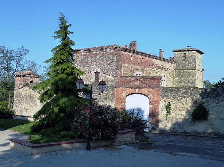 Le château - Trébons-sur-la-Grasse