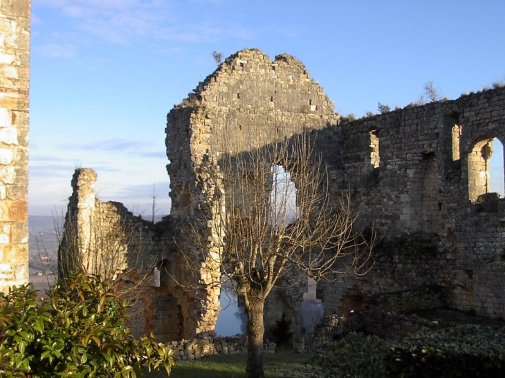 Les ruines de l'ancien château - Bélaye