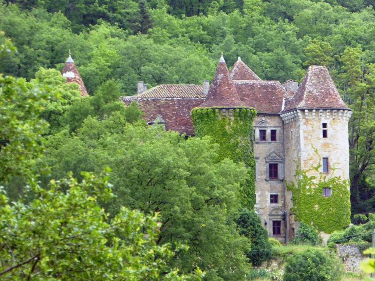 Ceint d'eau : vue sur le château - Figeac