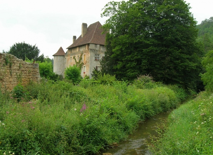 Les Junies, Le Château