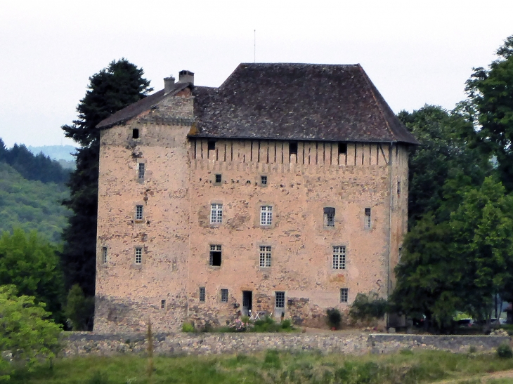 Le château de Puy Launay - Linac