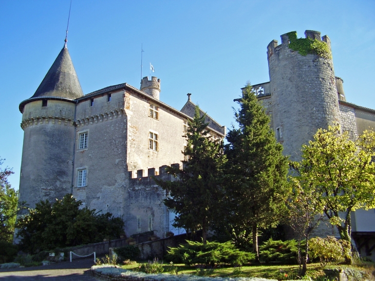Le château - Mercuès